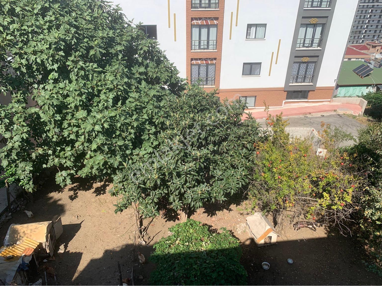 Fırsat Arsa Kat Karşılığı Müstakil Arsa Ev - Görsel 6