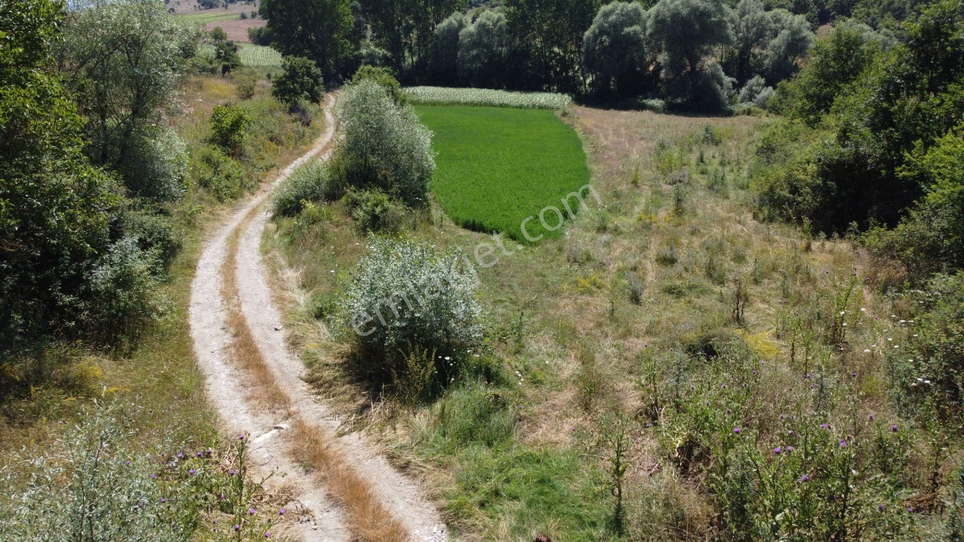 Bilecik Merkez Şükraniye Köyü Satılık Tarla  BİLECİK MERKEZ ŞÜKRANİYE KÖYÜN'DE 1680 M2 YATIRIM FIRSATI !!!