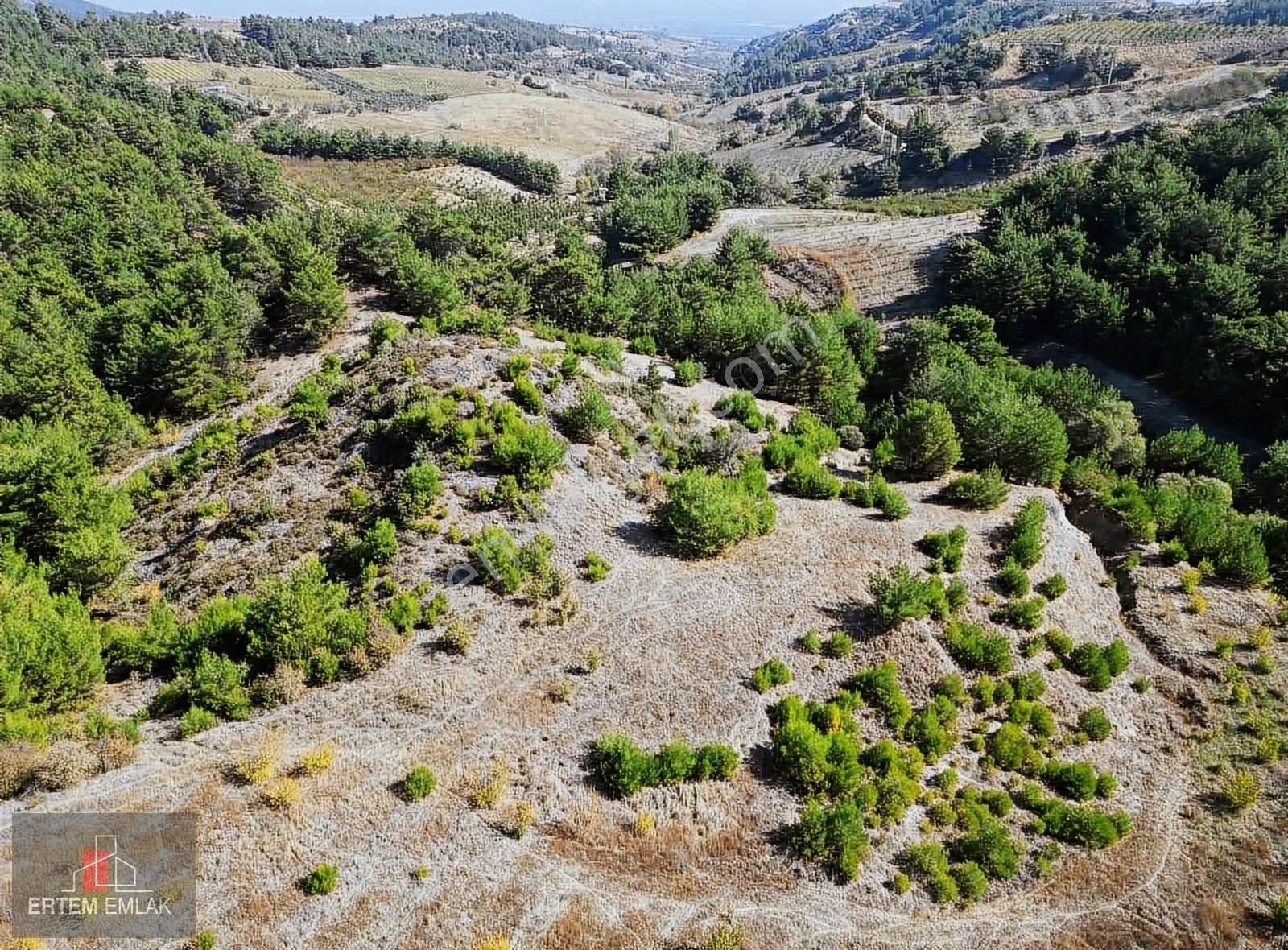 Şehzadeler Sancaklıuzunçınar Satılık Tarla Manisa Şehzadeler Uzunçınar Satılık Arazi 12,000 M2 UYGUN FİYAT