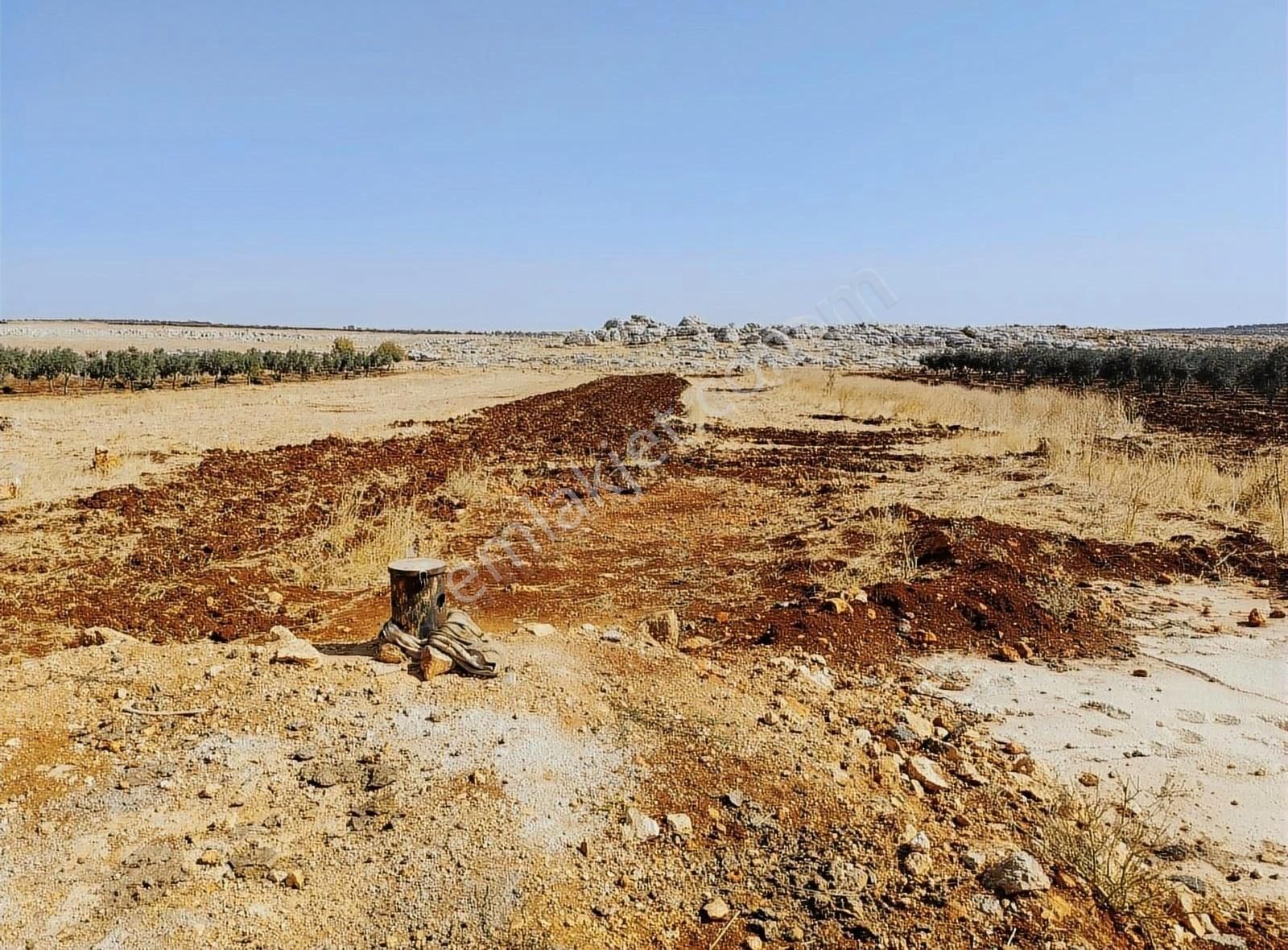 Şahinbey Osmanlı Satılık Tarla Şahinbey Kurtuluş Satılık Tek Tapu Arsa