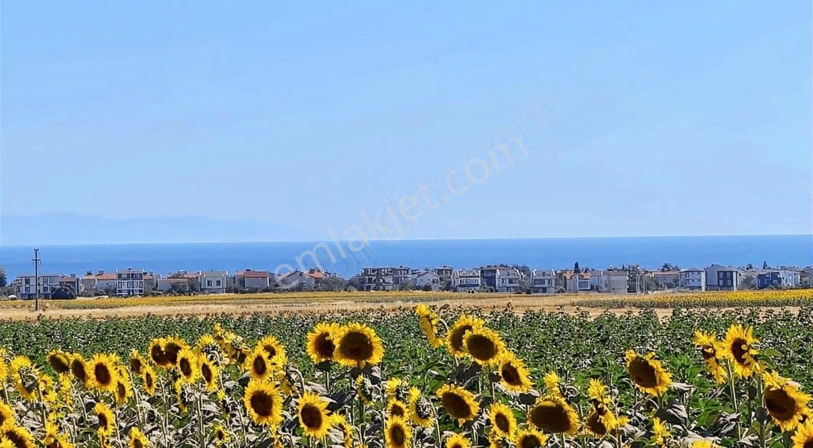 Marmaraereğlisi Yeniçiftlik Satılık Tarla Marmaraereglide Deniz Manzaralı Villa İmarına Yakın Satılık Arsa