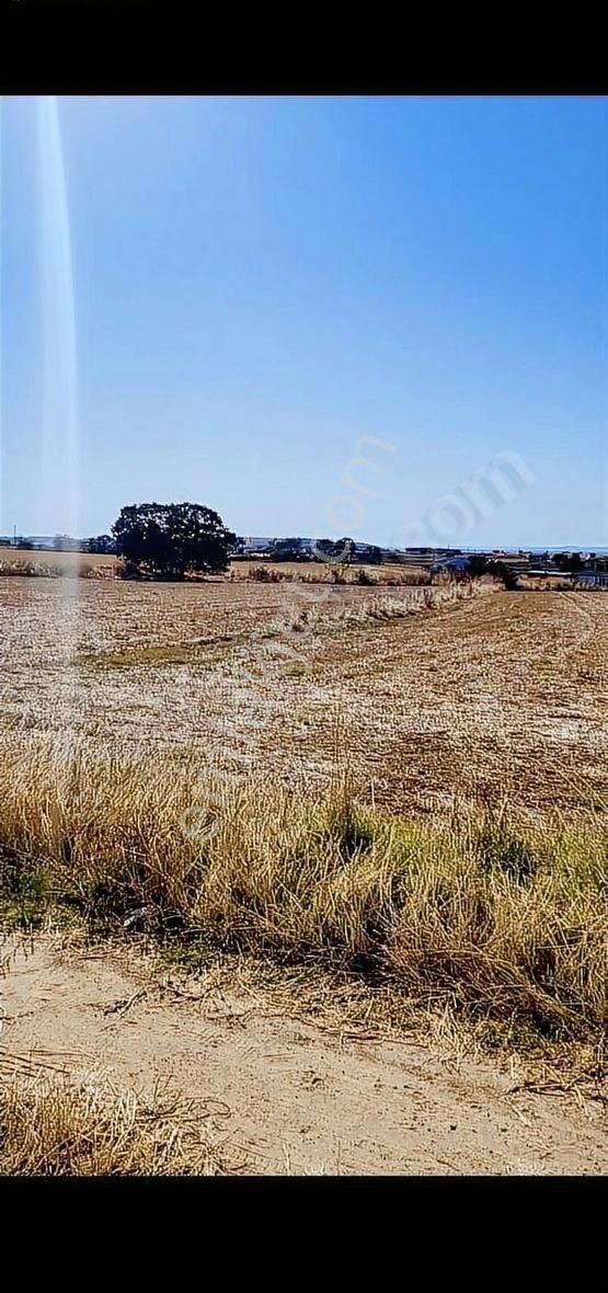 Gelibolu Bolayır Köyü (Gazi Süleyman Paşa) Satılık Konut İmarlı GELİBOLUDA İMARLI VE DENİZ MANZARALI KÖY İÇİ SATILIK ARSA