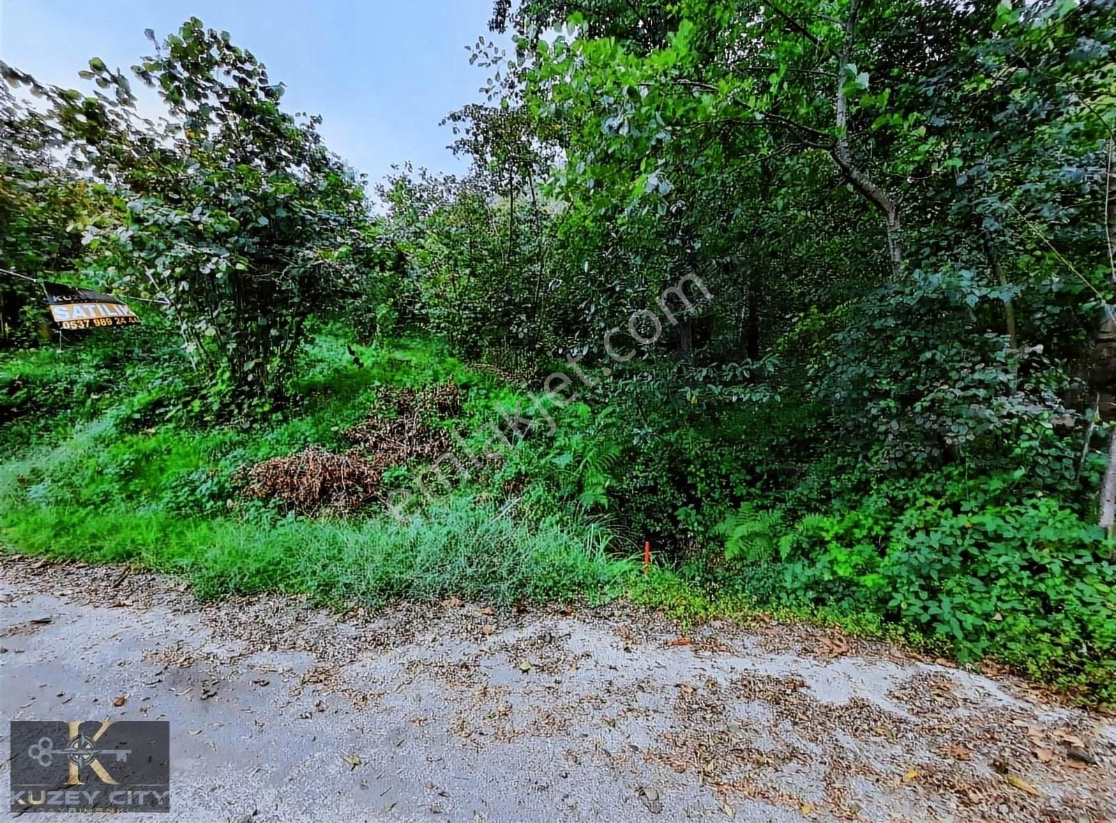 Kuzey City Gayrimenkul Den Vakfıkebirde Satılık Fırsat Arazi - Görsel 16