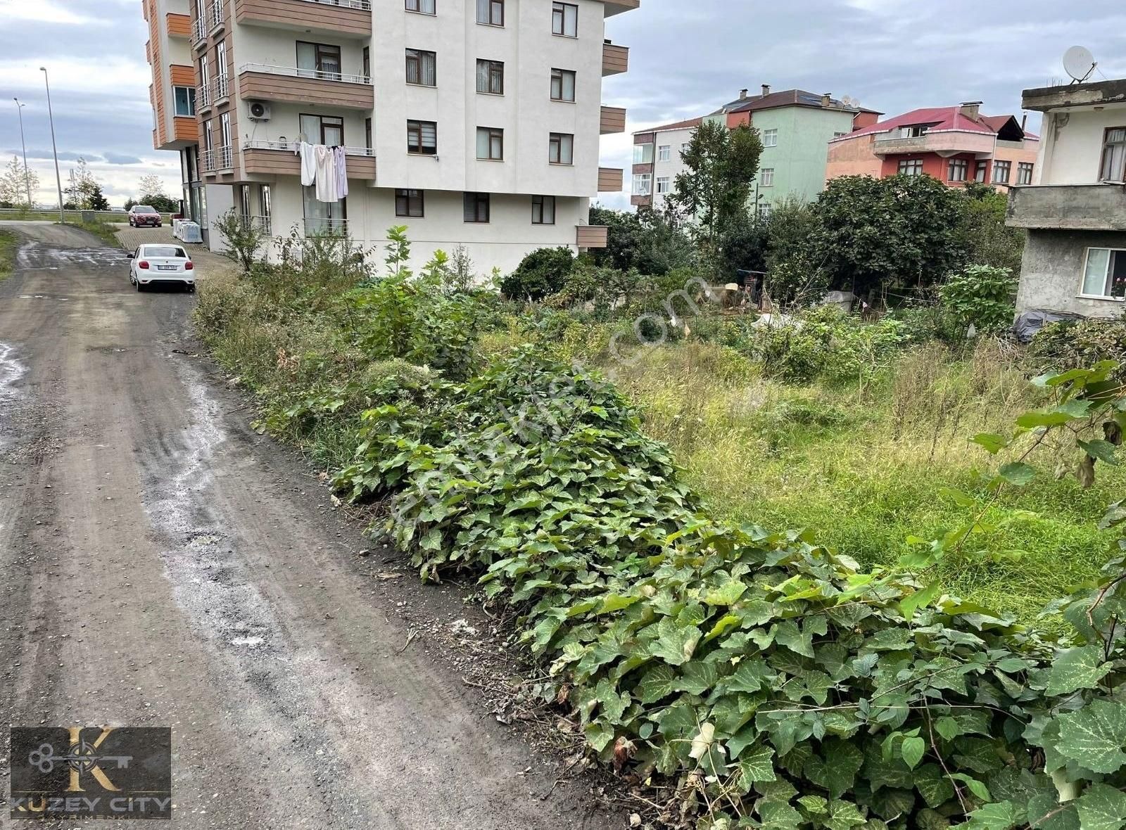 Vakfıkebir Kirazlıkyeni Satılık Ticari İmarlı TRABZON VAKFIKEBİRDE İMARLI ARSA