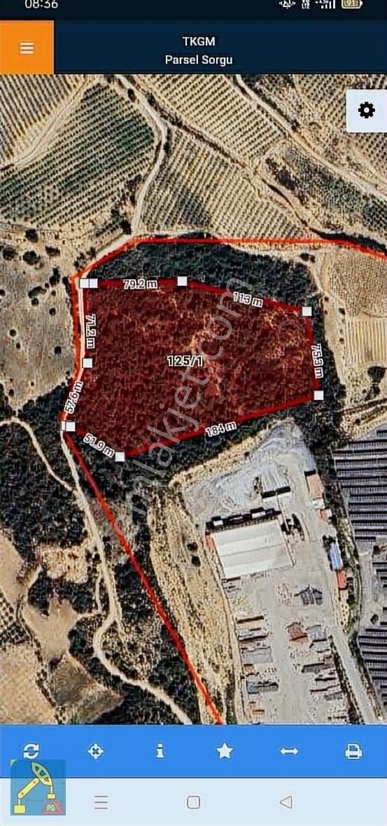Akdeniz Evci Osb Kuzey Batı Kiralık Arsa 25.266 M2 Nacarlı Osb