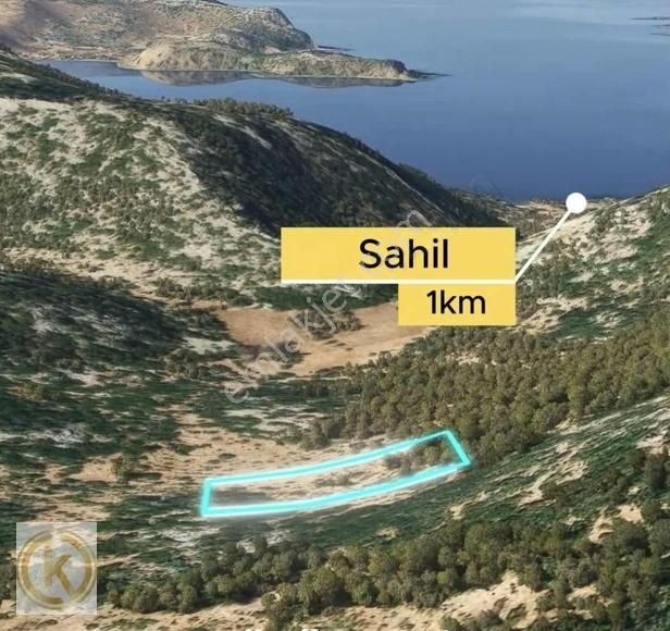 Marmaris Selimiye Satılık Tarla MARMARİS SELİMİYEDE 4.000M2 DENİZ MANZARALI %15 KÖY İMARLI ARAZİ