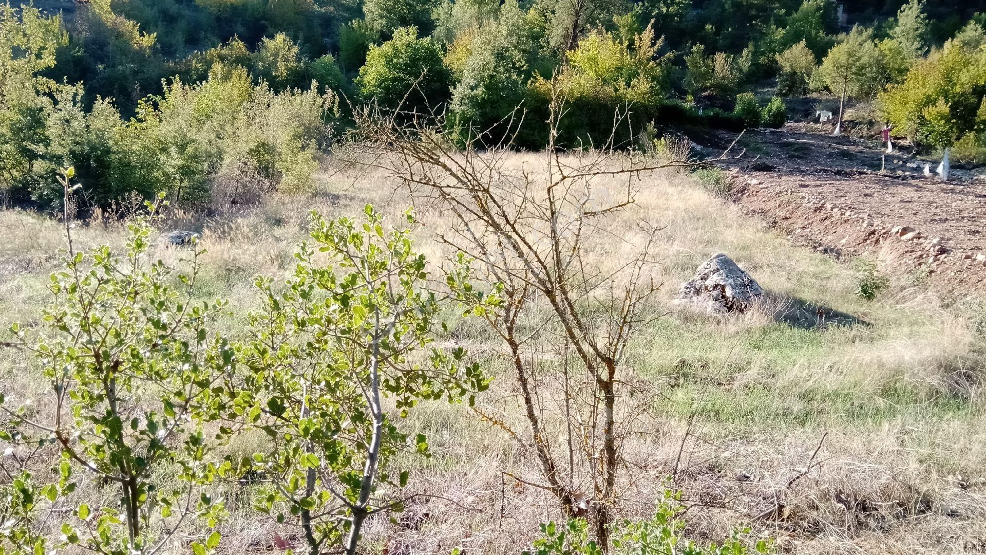 Sinan Değirmeni Dere Ve Yol Yanı Bahçe - Görsel 2