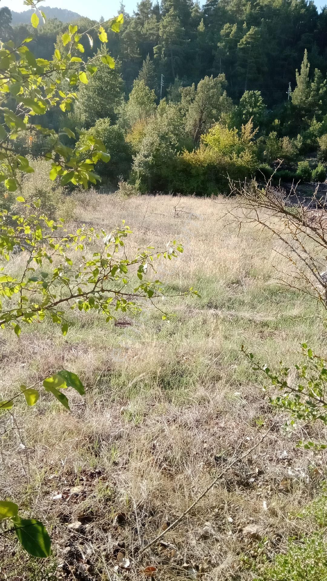 Sinan Değirmeni Dere Ve Yol Yanı Bahçe - Görsel 6