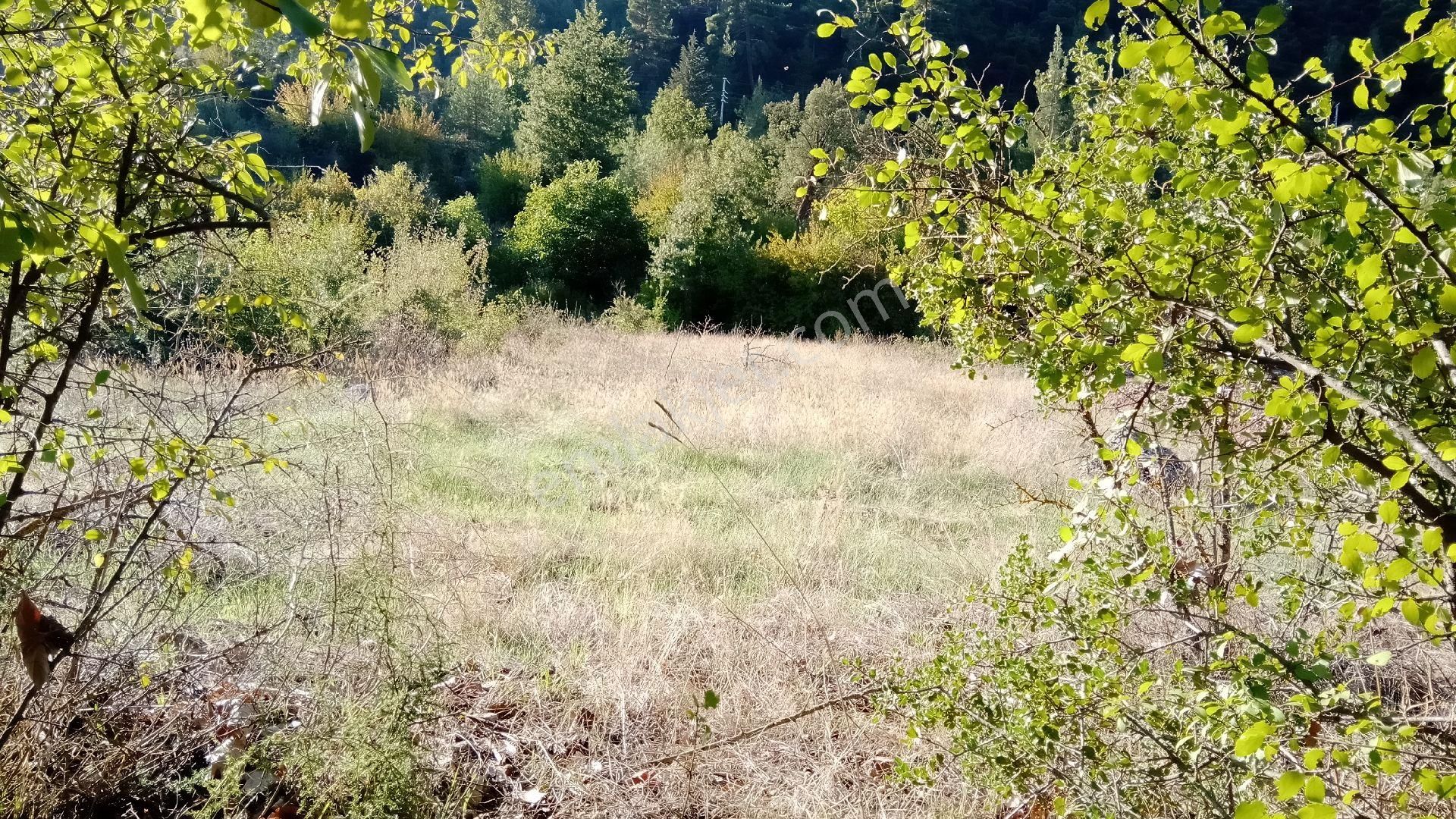 Sinan Değirmeni Dere Ve Yol Yanı Bahçe - Görsel 12