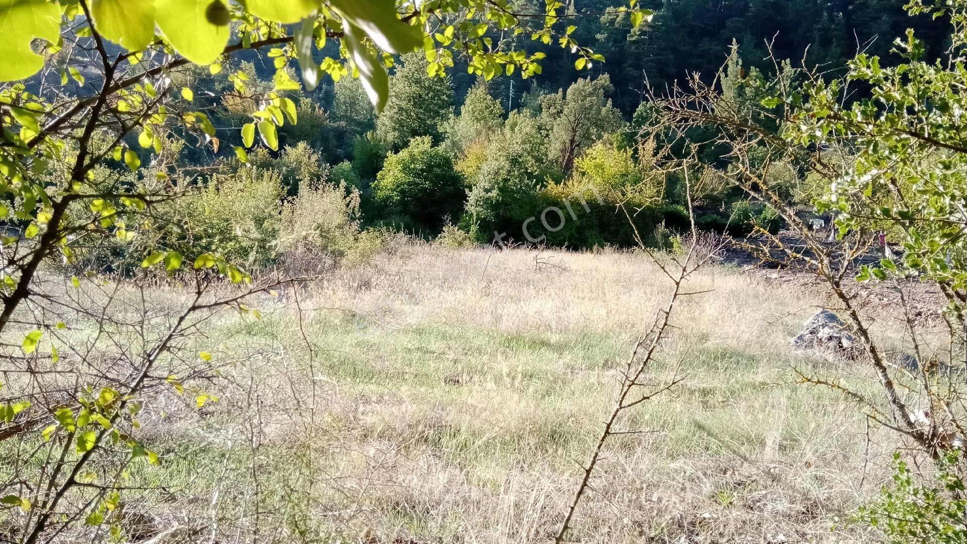 Sinan Değirmeni Dere Ve Yol Yanı Bahçe - Görsel 4