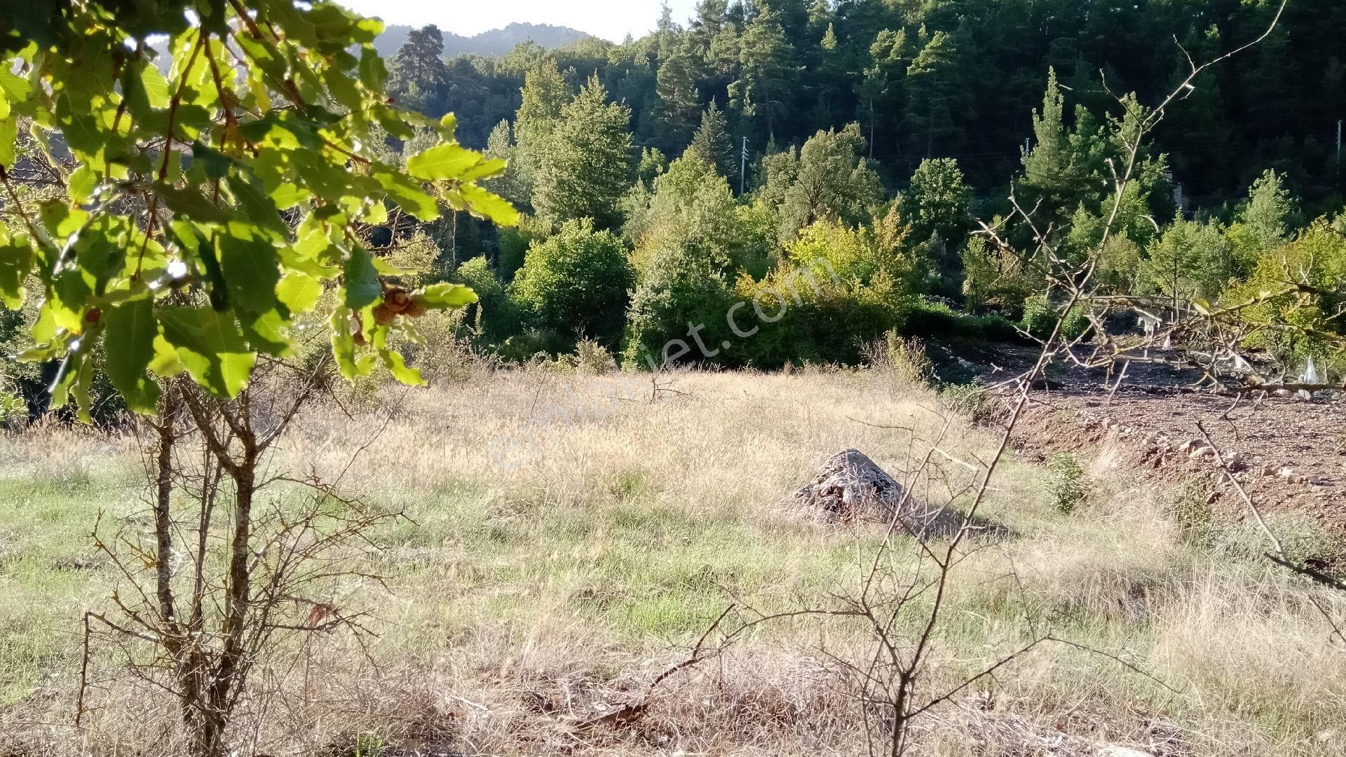 Sinan Değirmeni Dere Ve Yol Yanı Bahçe - Görsel 10
