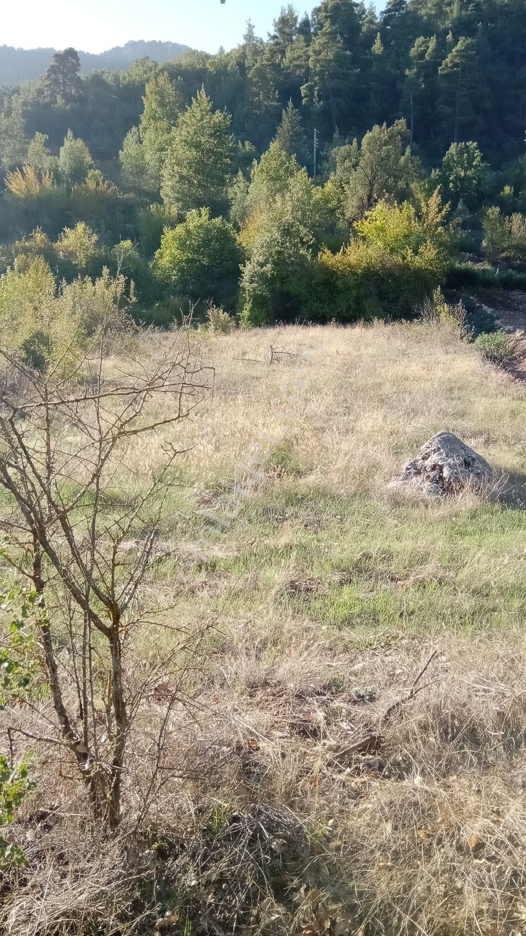Sinan Değirmeni Dere Ve Yol Yanı Bahçe - Görsel 7