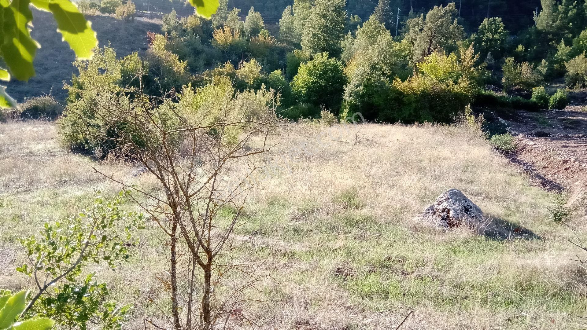 Sinan Değirmeni Dere Ve Yol Yanı Bahçe - Görsel 9