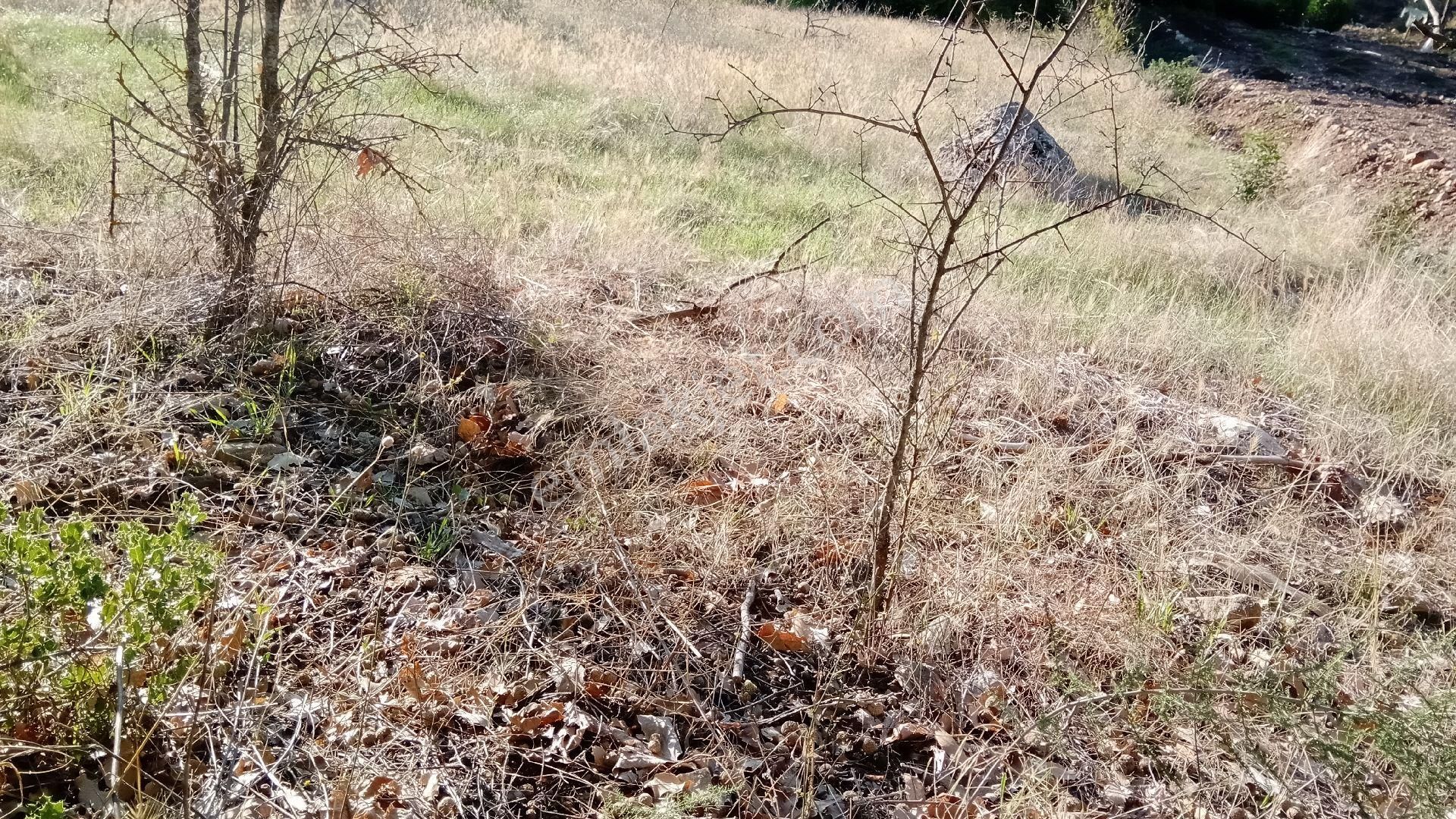 Sinan Değirmeni Dere Ve Yol Yanı Bahçe - Görsel 3