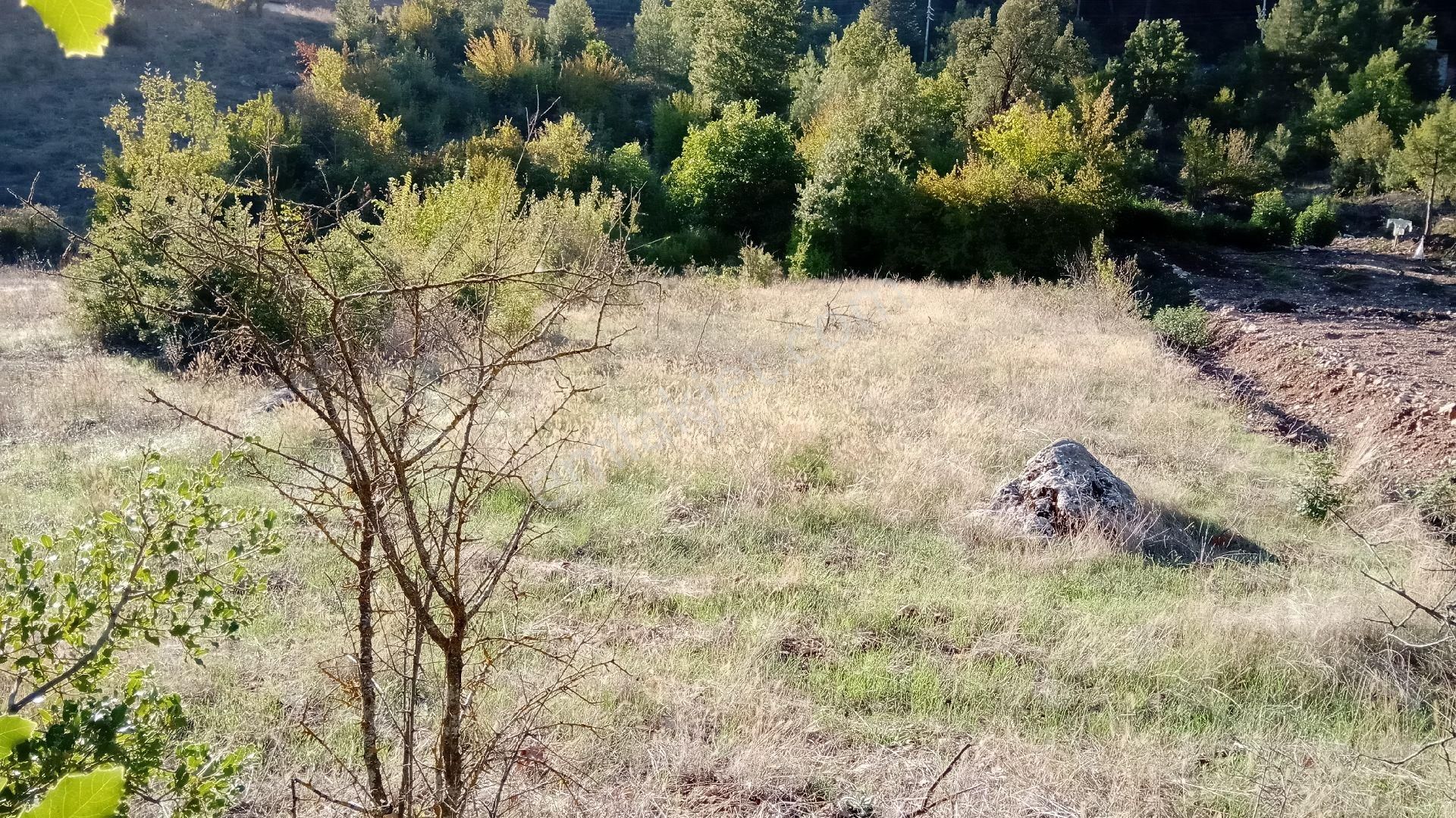 Sinan Değirmeni Dere Ve Yol Yanı Bahçe - Görsel 8