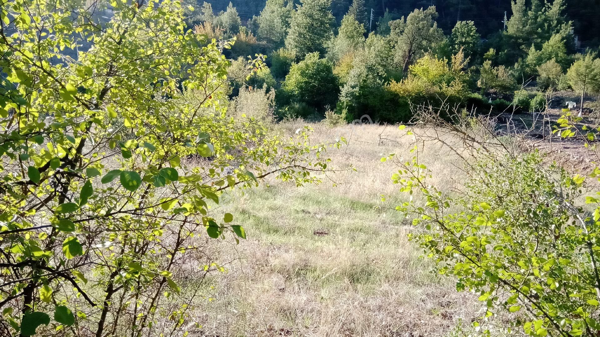 Sinan Değirmeni Dere Ve Yol Yanı Bahçe - Görsel 11