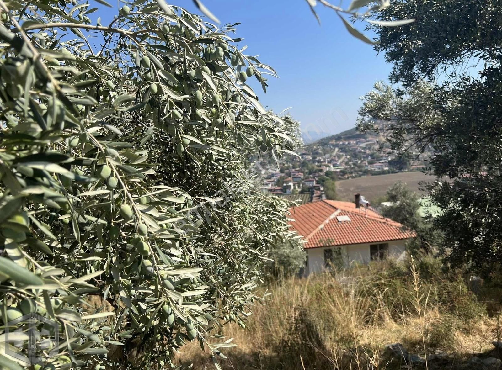 İzmir Selçuk Belevi Köyünde 333 M 2 Arsa - Görsel 5
