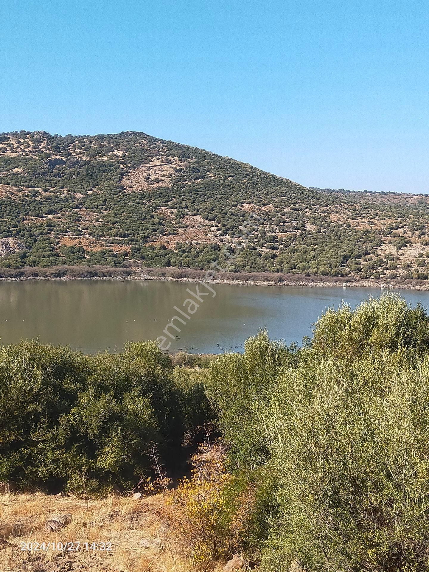 Saadet Korkmaz Emlak'tan Dikili Katıralanı Köyünde 23 Dönüm Baraja 100 Mt Satılık 23 Dönüm Tarla - Görsel 4