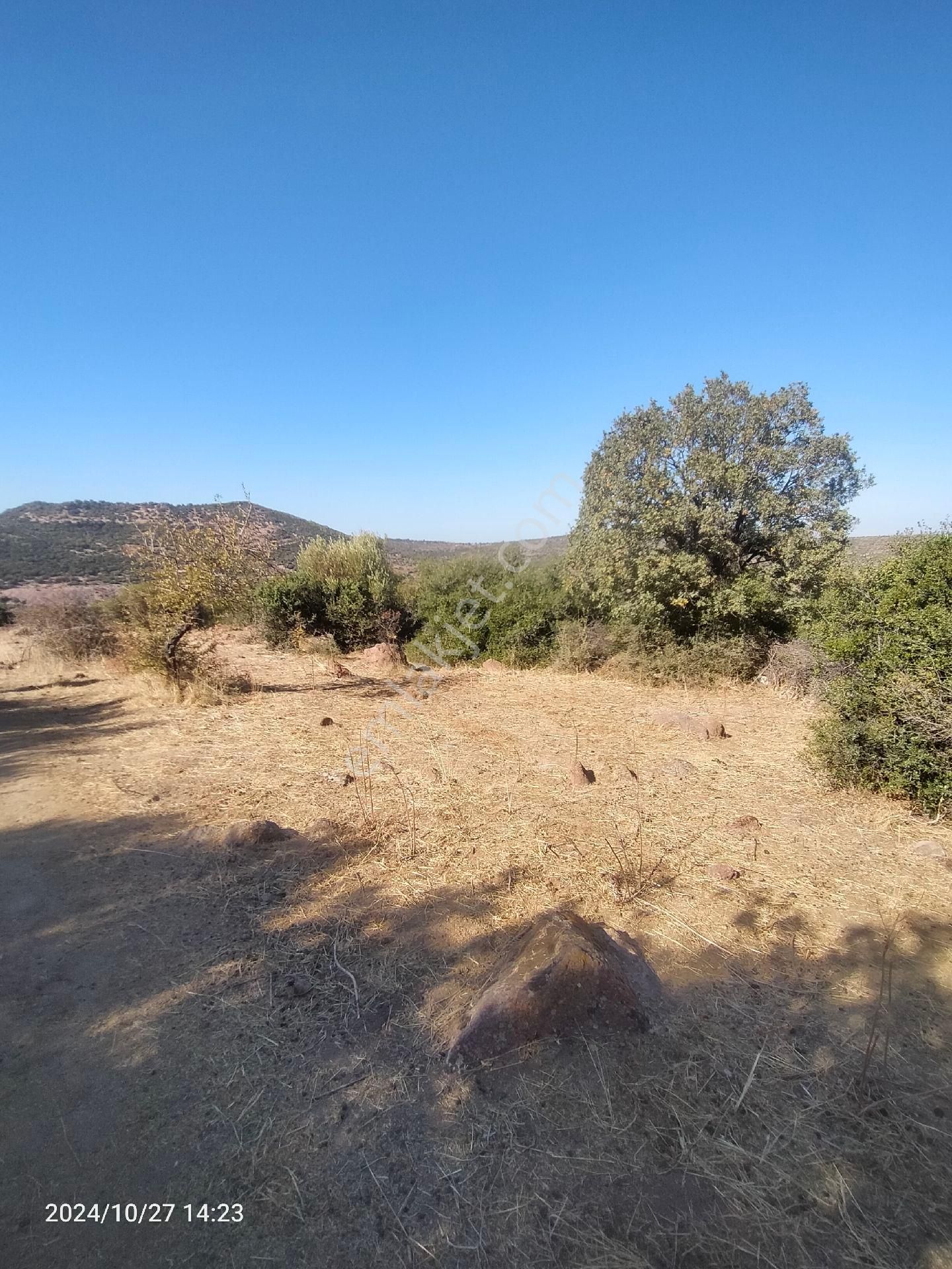 Saadet Korkmaz Emlak'tan Dikili Katıralanı Köyünde 23 Dönüm Baraja 100 Mt Satılık 23 Dönüm Tarla - Görsel 20