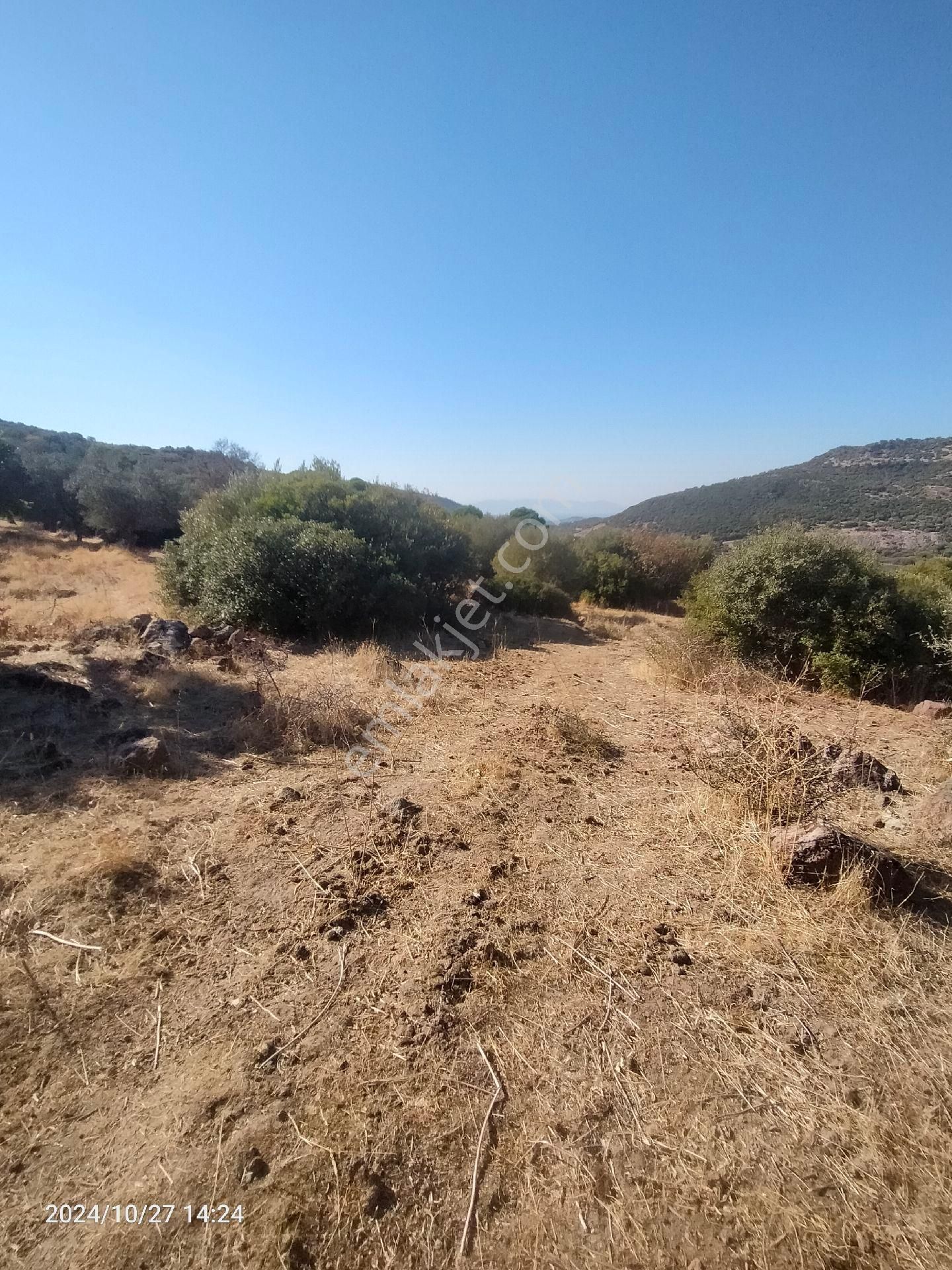 Saadet Korkmaz Emlak'tan Dikili Katıralanı Köyünde 23 Dönüm Baraja 100 Mt Satılık 23 Dönüm Tarla - Görsel 14