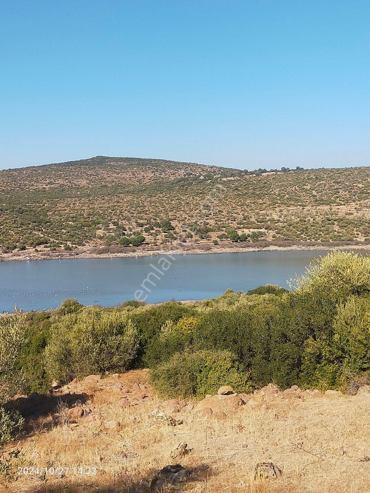 Saadet Korkmaz Emlak'tan Dikili Katıralanı Köyünde 23 Dönüm Baraja 100 Mt Satılık 23 Dönüm Tarla - Görsel 3