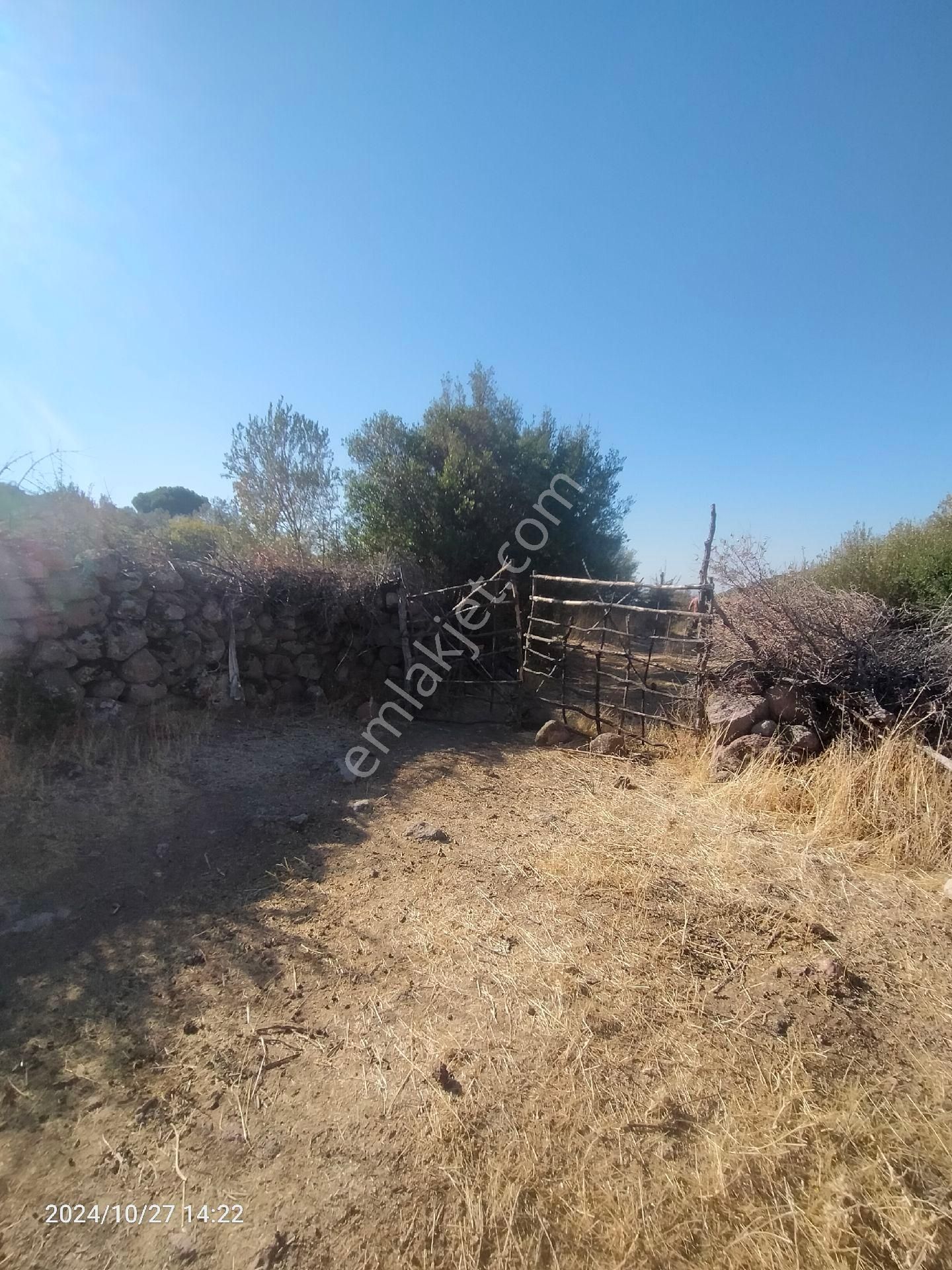 Saadet Korkmaz Emlak'tan Dikili Katıralanı Köyünde 23 Dönüm Baraja 100 Mt Satılık 23 Dönüm Tarla - Görsel 21