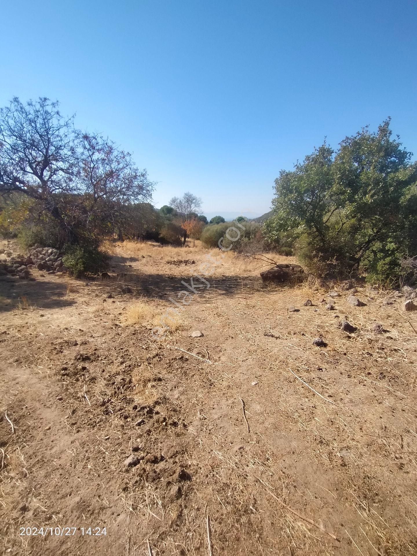 Saadet Korkmaz Emlak'tan Dikili Katıralanı Köyünde 23 Dönüm Baraja 100 Mt Satılık 23 Dönüm Tarla - Görsel 13