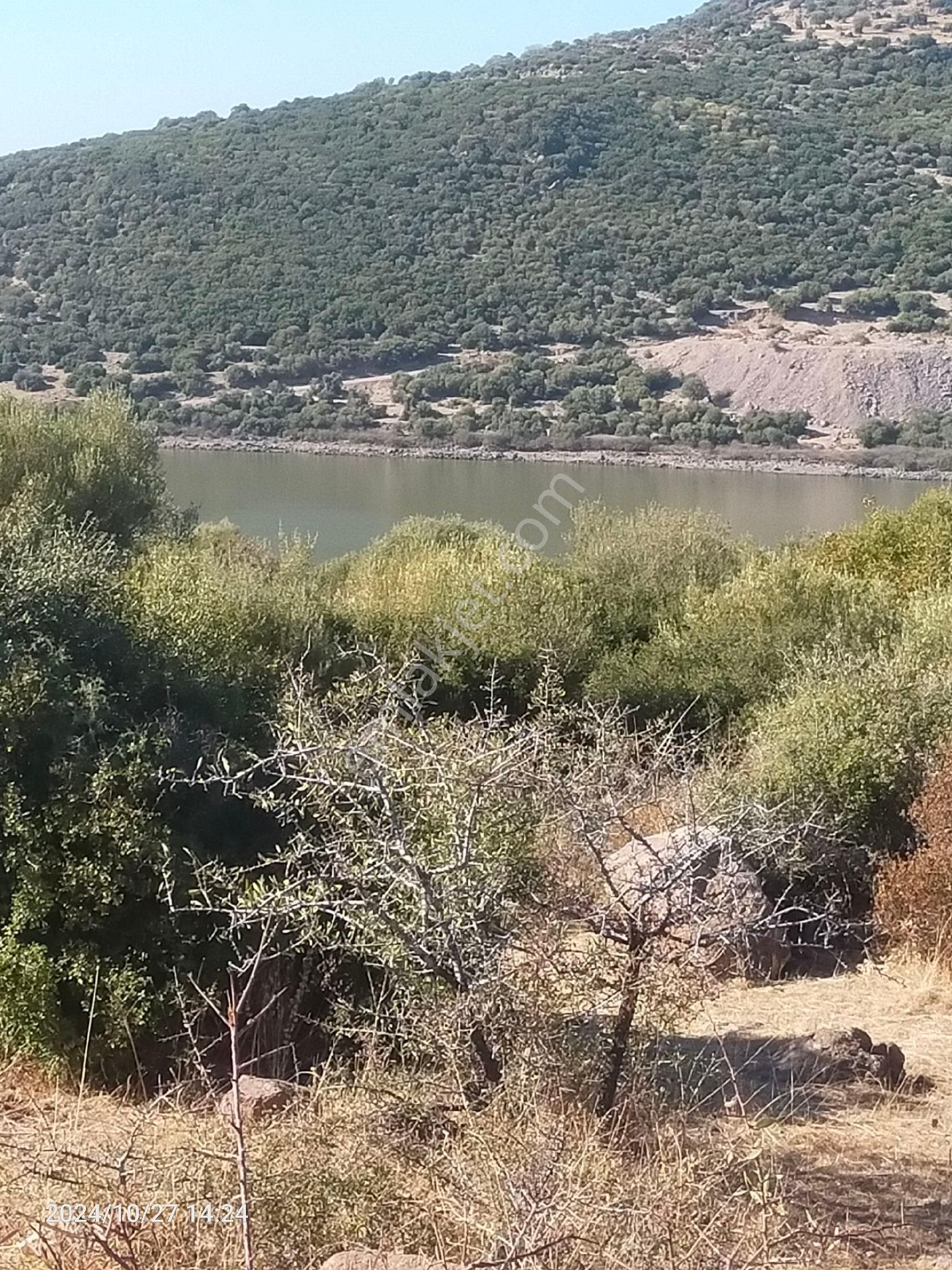 Saadet Korkmaz Emlak'tan Dikili Katıralanı Köyünde 23 Dönüm Baraja 100 Mt Satılık 23 Dönüm Tarla - Görsel 16
