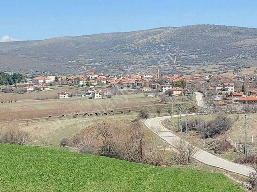 Ayaş Yağmurdede Satılık Bağ & Bahçe Murat Türkmen'den Ayaş Yağmurdede Mah. Satılık Tek_tapu Yatırıma_uygun Kadastro Yolu Mevcut 2000-m2