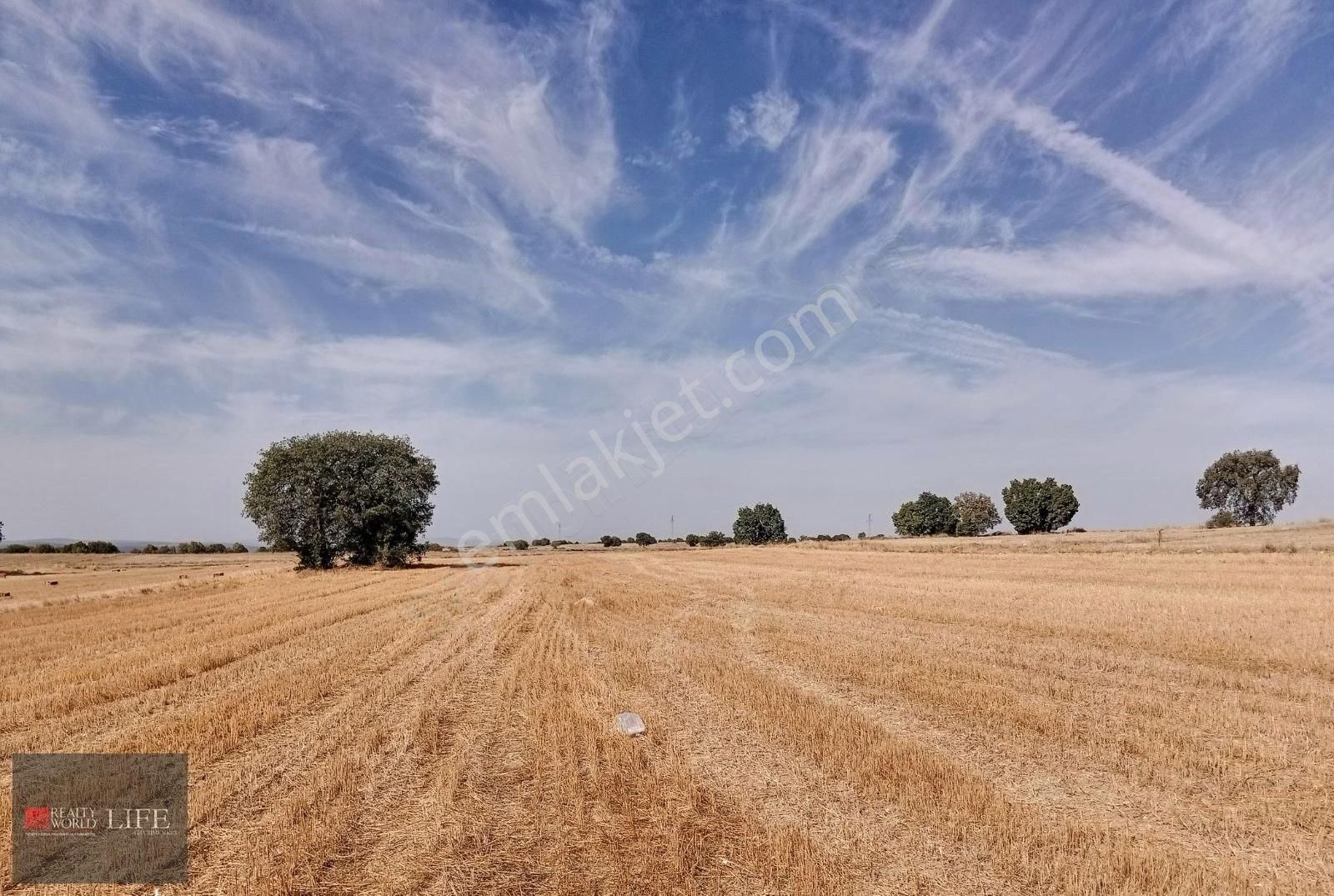 Odunpazarı Karaalan Satılık Tarla Rw Lıfe// Karaalan Mahallesi 9500m2 Satılık Tarla