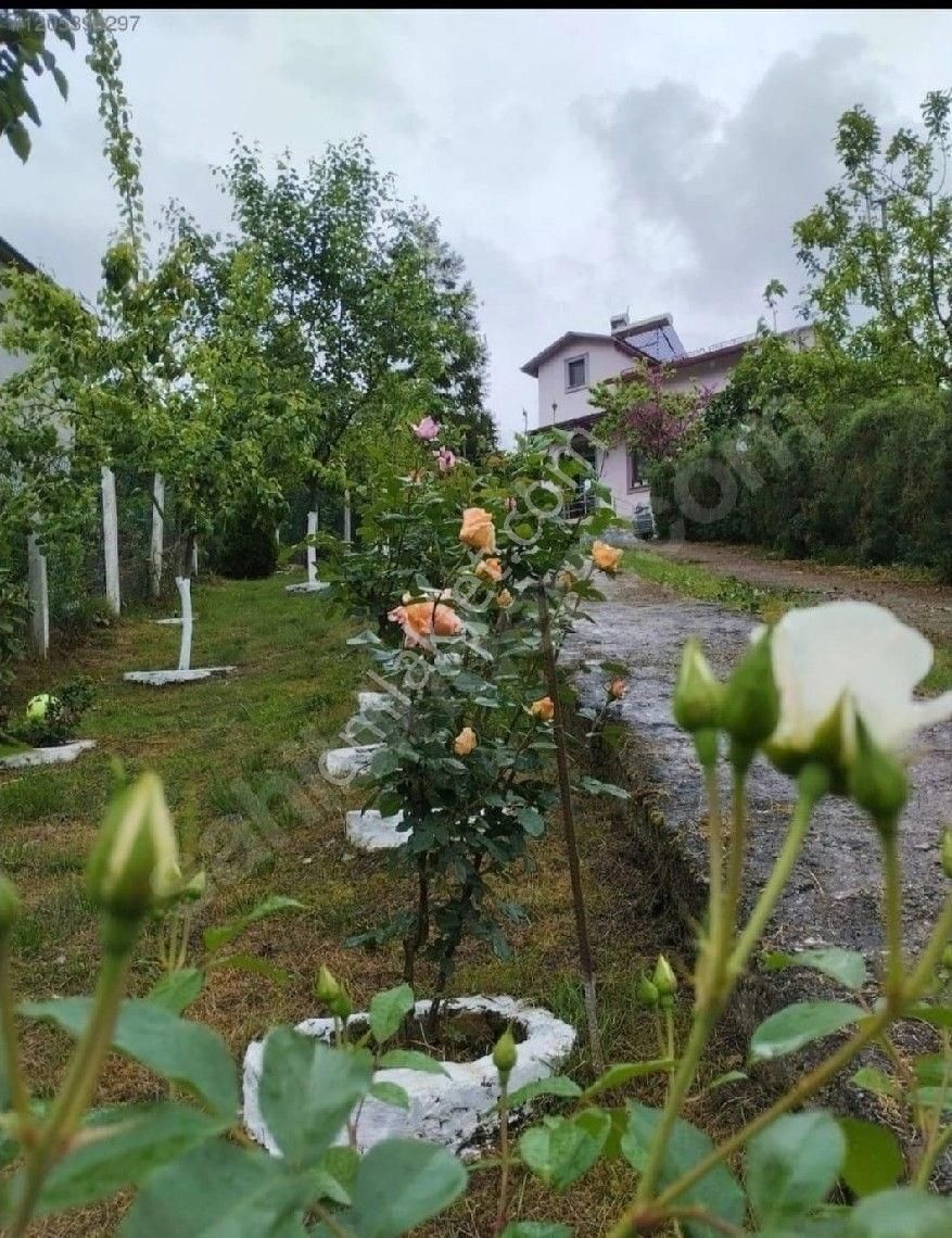 Tirebolu Balçıkbelen Satılık Bağ & Bahçe Satılık Lüks Dubleks Villa