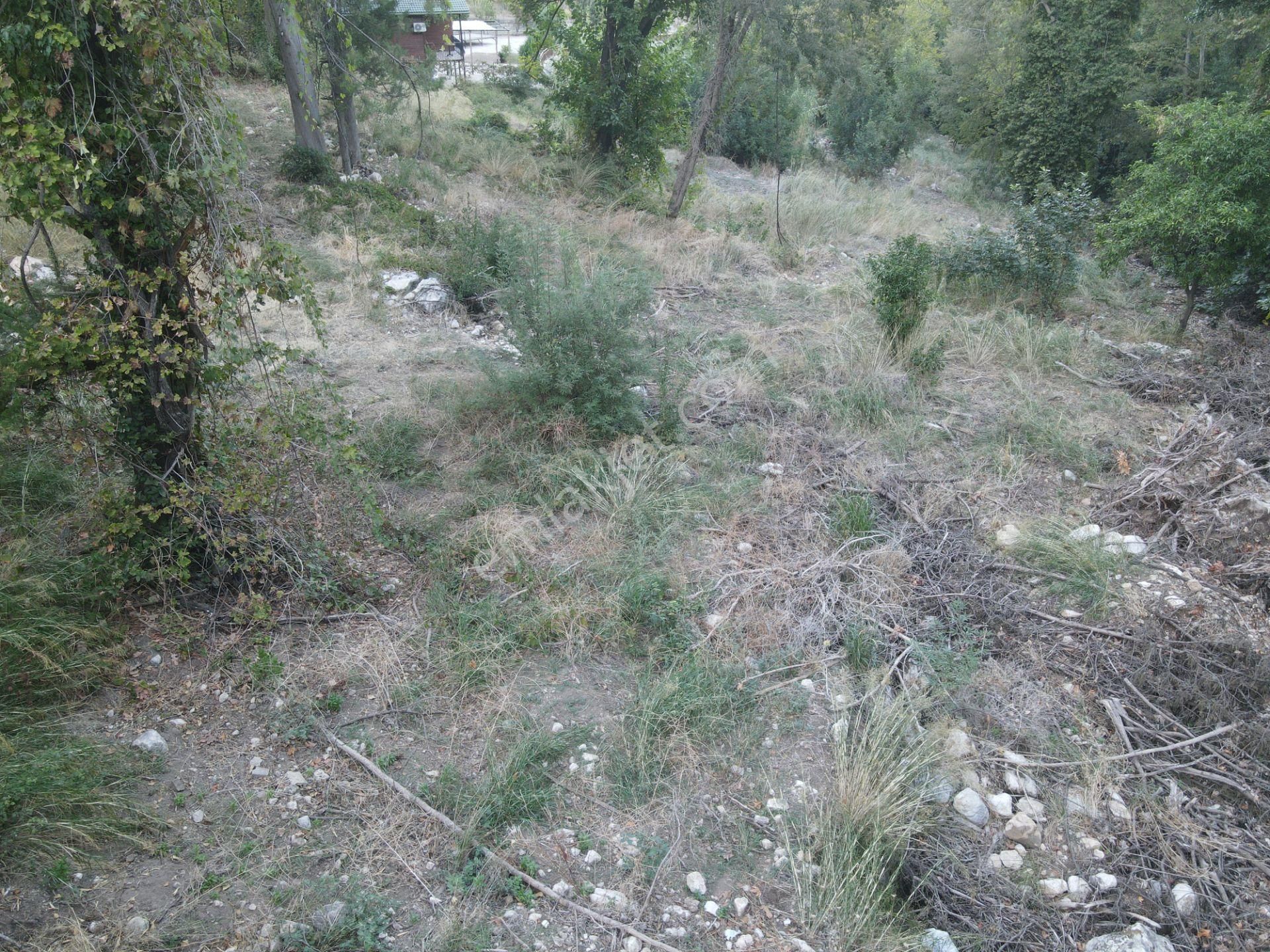 Bmk Dan Antalya Kemer Ulupınar Da Satılık Arazi - Görsel 4