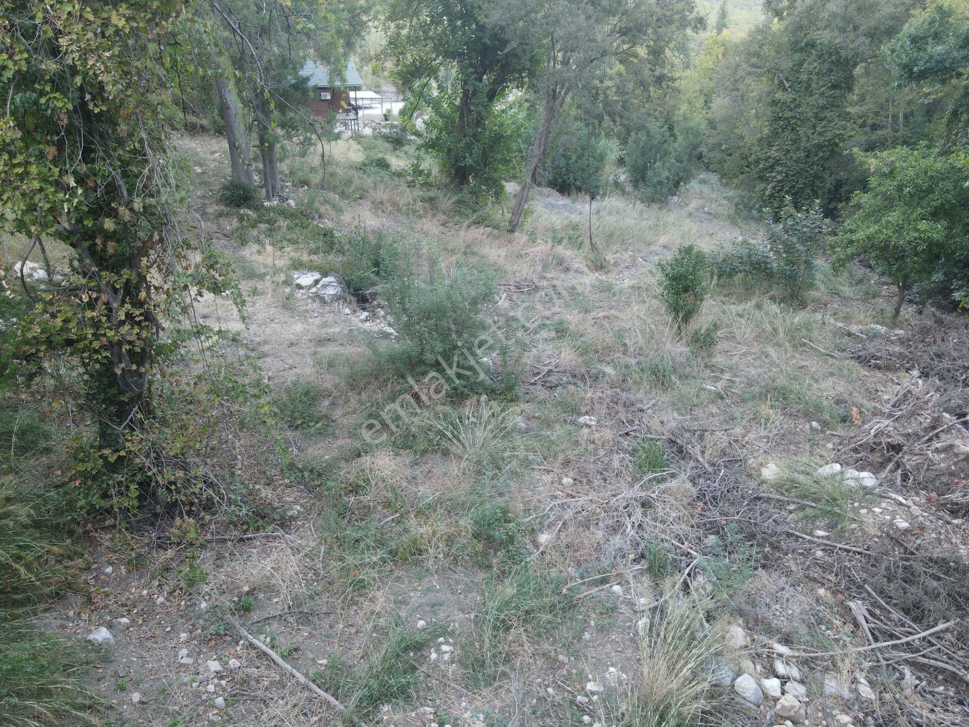 Bmk Dan Antalya Kemer Ulupınar Da Satılık Arazi - Görsel 5