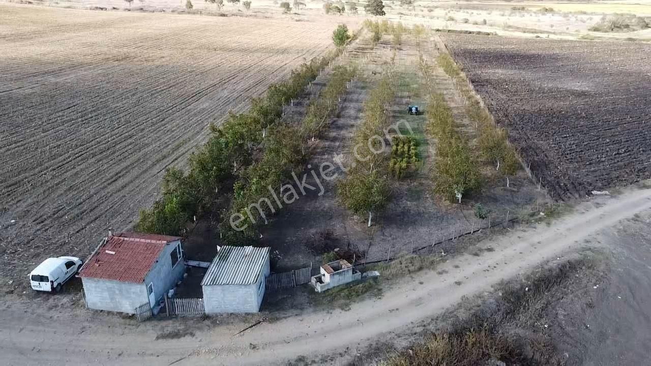 Gönen Keçeler Satılık Tarla GÖNEN KEÇELER MAH SATILIK TARLA