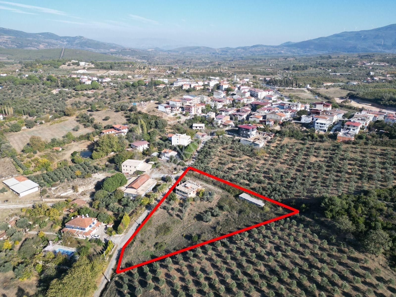 Kuşadası Yeniköy Satılık Tarla  SATILIK- KUŞADASI YENİKÖY İÇERİSİNDE EVİ BULUNAN 4.117 M2 İNCİR BAHÇESİ...