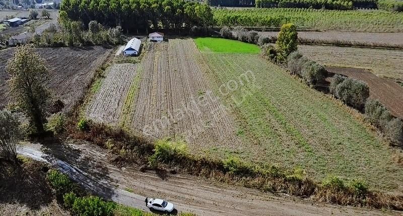 Akyazı Uzunçınar Satılık Depo, Antrepo İzinli Yol Cepheli 4 Dönüm Ev Yapılabilir Durumda Fırsat