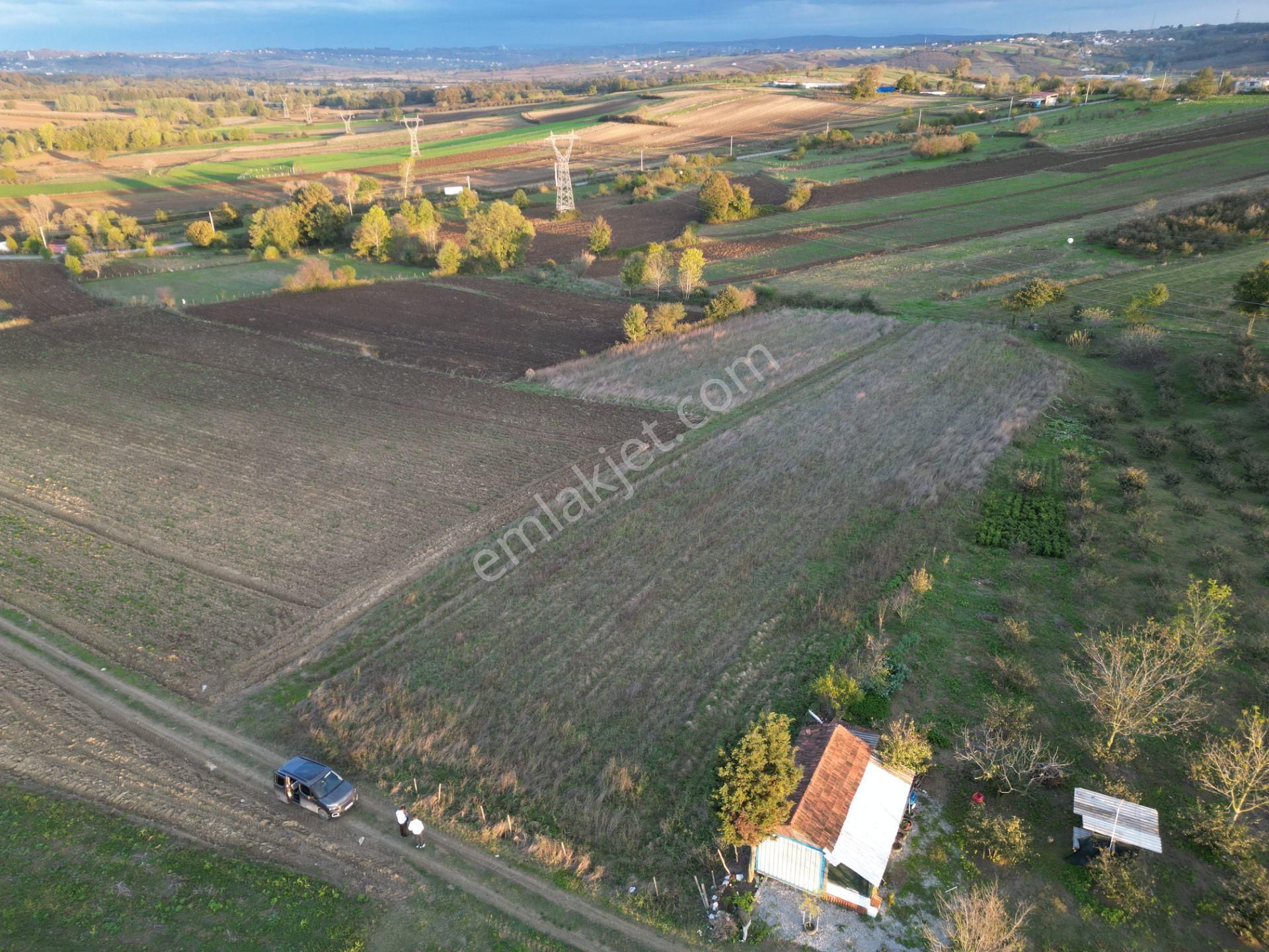 Kaynarca Kulaklı Satılık Tarla Kaynarca Kulaklı 'da Çiftlik Evi Yapımına Uygun 6445 M² Arazi