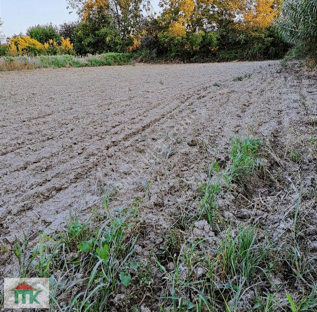 Sarayköy Beylerbeyi Satılık Bağ & Bahçe BEYLERBEYİ OTONOMİ ALTI SULAK BAHÇE