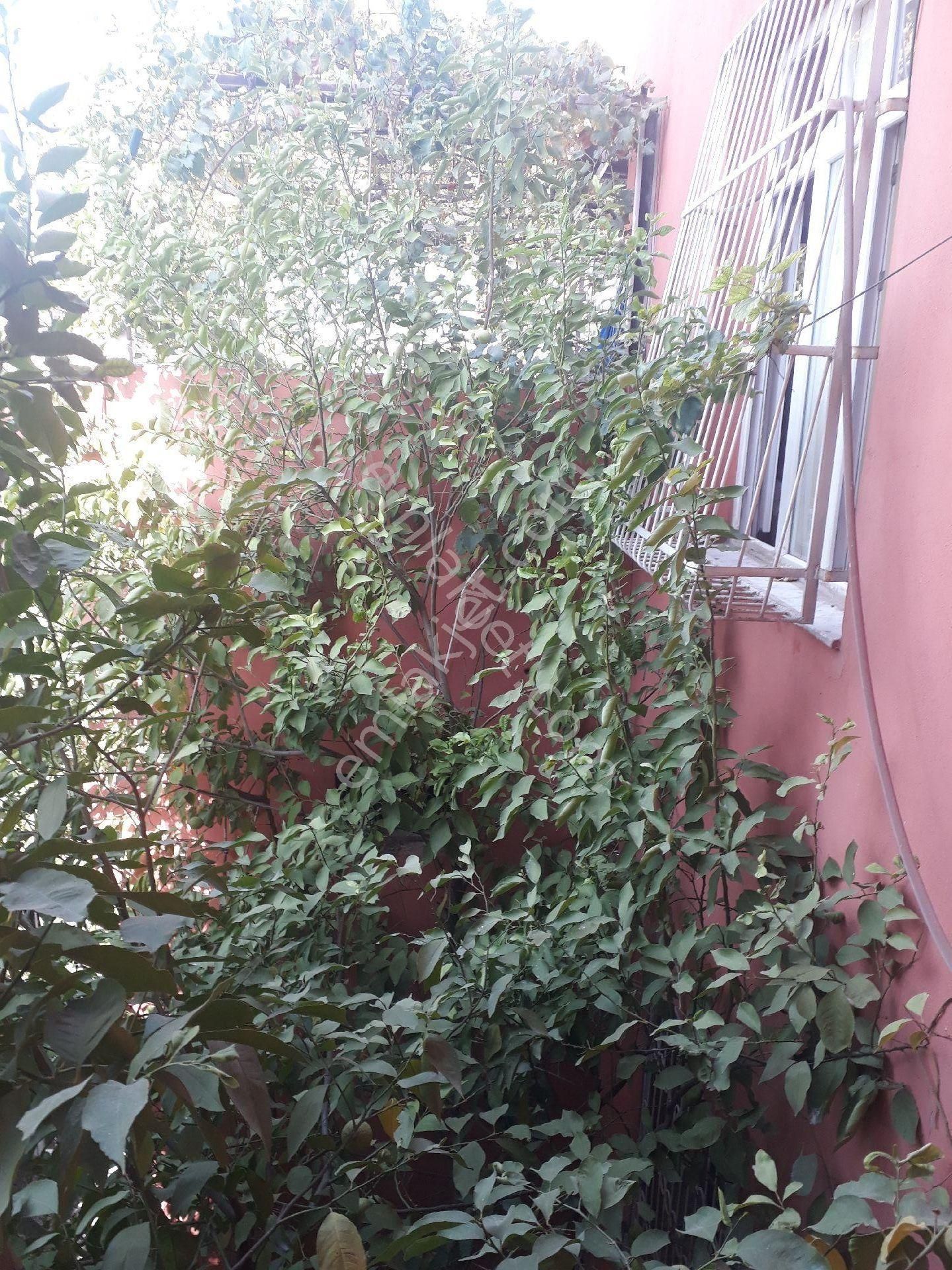 Adana Seyhan Yeşilevler Mahallesin De 2 Katlı 201 M2 Arsalı Müstakil - Görsel 27