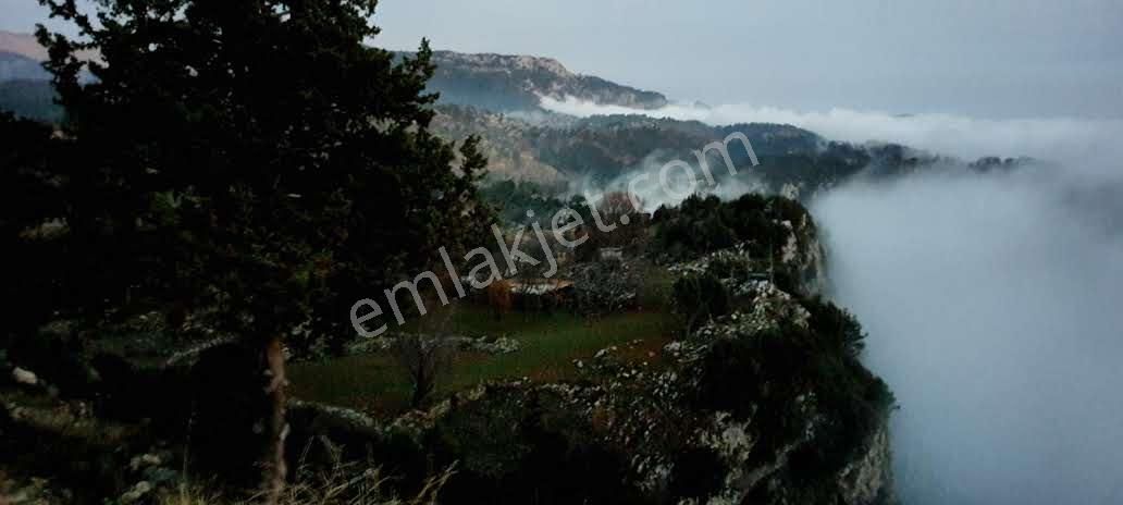 Alanya Dere Satılık Tarla DERETÜRBELİNAS SATILIK MUHTEŞEM ARSA KELEPİR FİYATA