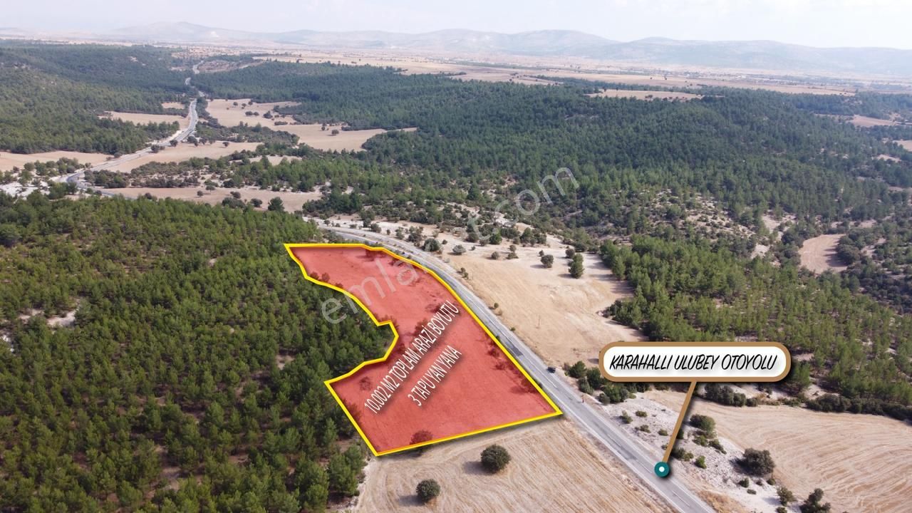 Ulubey Hasköy Köyü (İsmet Paşa) Satılık Tarla  10.002 m2 Asfalta Cephe Müstakil Tapulu Arazi