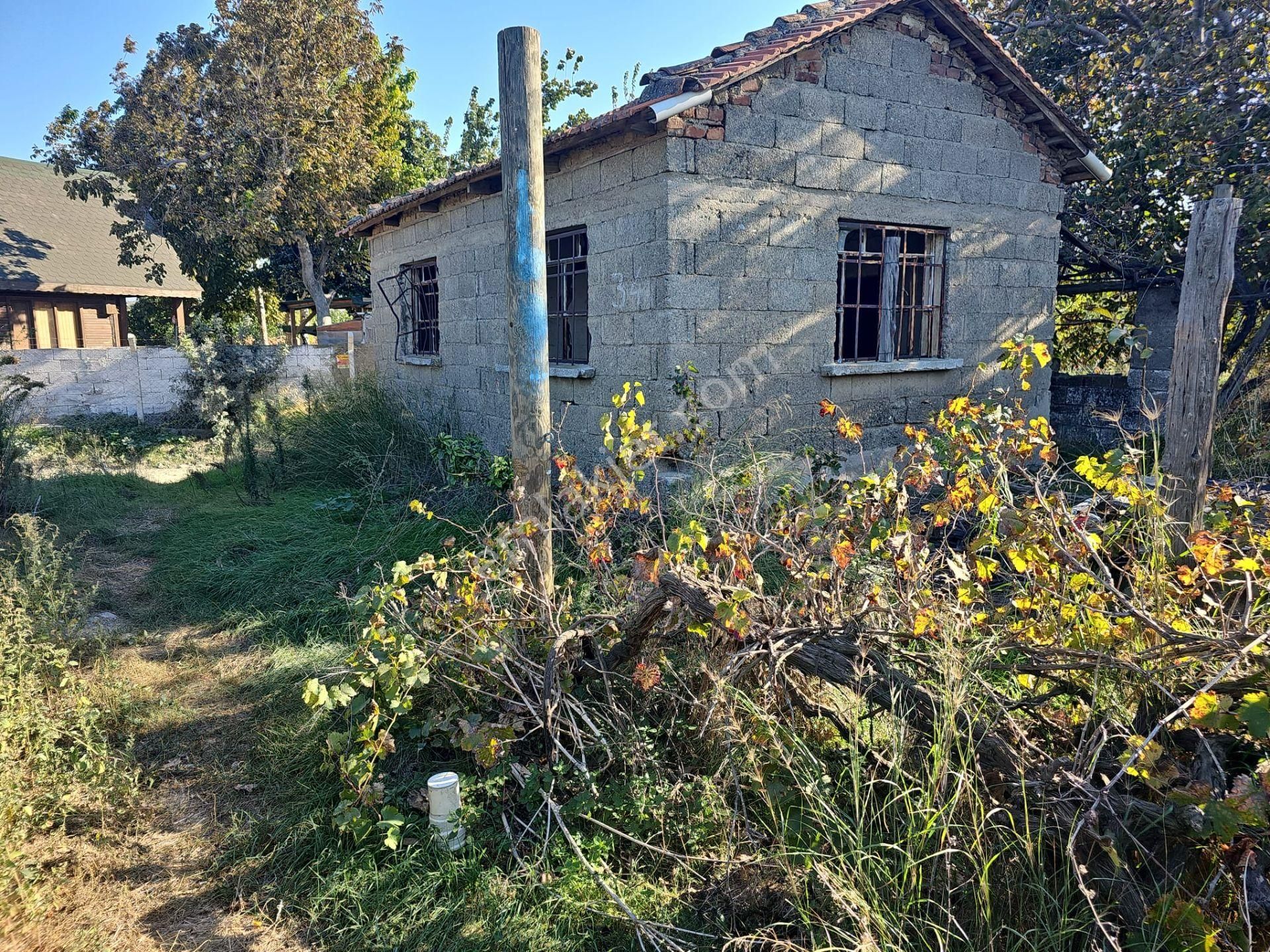 Seferihisar Hıdırlık Satılık Tarla  Satılık Mandalina Bahçesi - İzmir Seferihisar