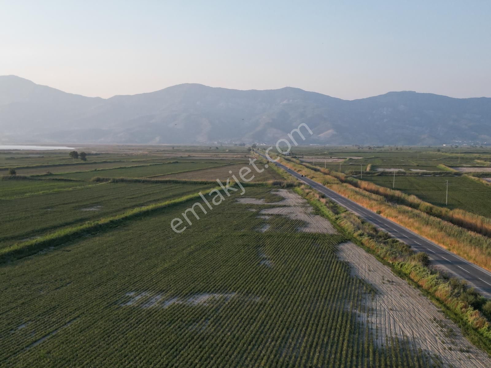 Söke Tuzburgazı Satılık Tarla  Söke Doğanbey/Didim Karayoluna cepheli satılık tarla