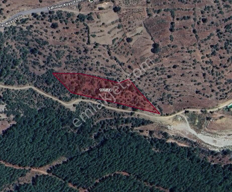 Gazipaşa Şahinler Satılık Tarla ŞAHİNLER GAZİPAŞA 6.675M2 DOĞA MANZARALI YOL CEPHELİ 4.000.000TL