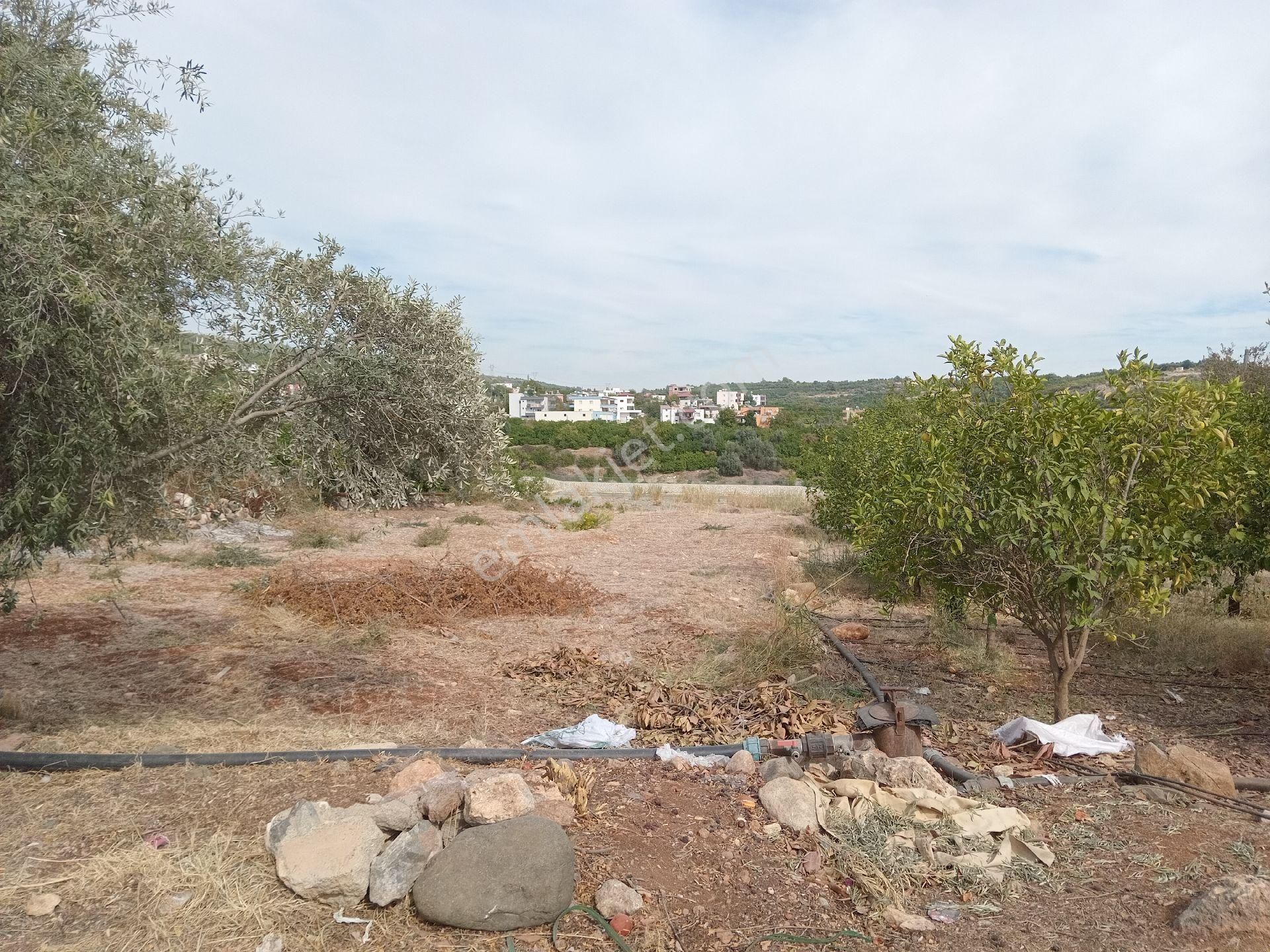 Mersin Erdemli Çiftepınar Mahallesinde Dedekavak Civarında Acil Stılık 1719 M.kare Tarla