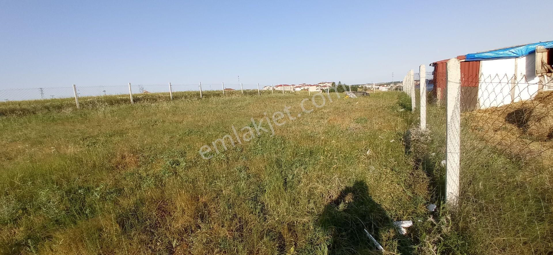 Saray Büyükyoncalı Merkez Satılık Konut İmarlı SARAY BÜYÜKYONCALIDA SATILIK 503 M2 İMARLI ARSA