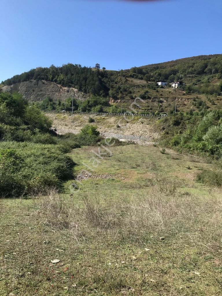 İlkadım Kapaklı Satılık Tarla Ankara yolu ve dere kenarı