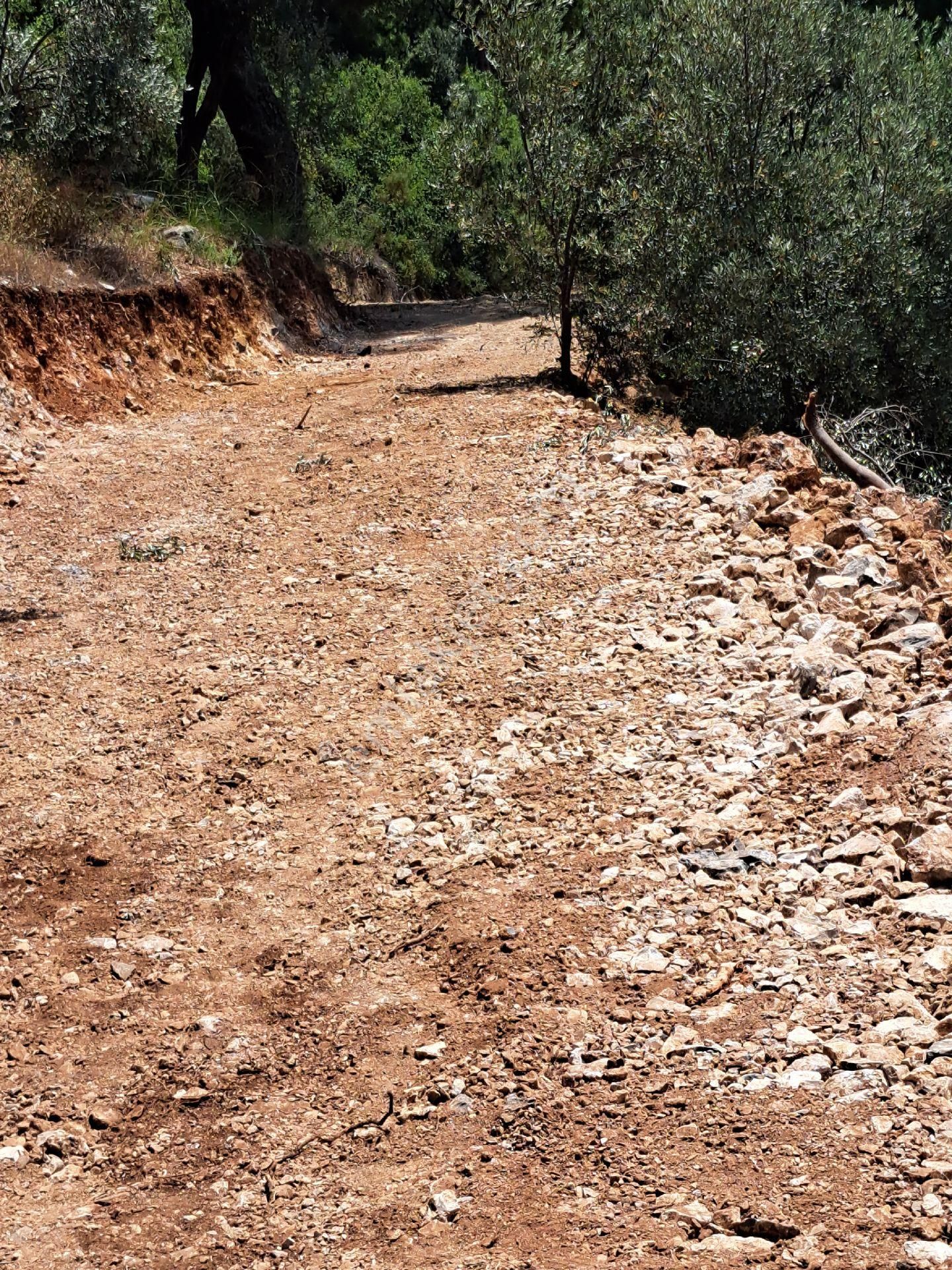 Dalaman Kayadibi Satılık Tarla Dalaman Kayadibinde Satılık Tarla