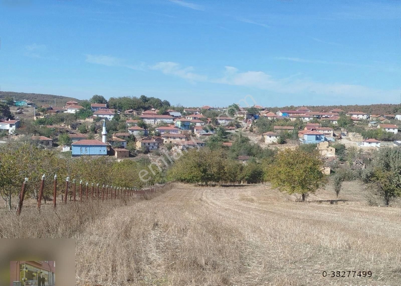 Söğüt Kızılsaray Köyü Satılık Bağ & Bahçe RESMİ YOLLU KÖYE YÜRÜME MESAFESİNDE ARSAMIZ