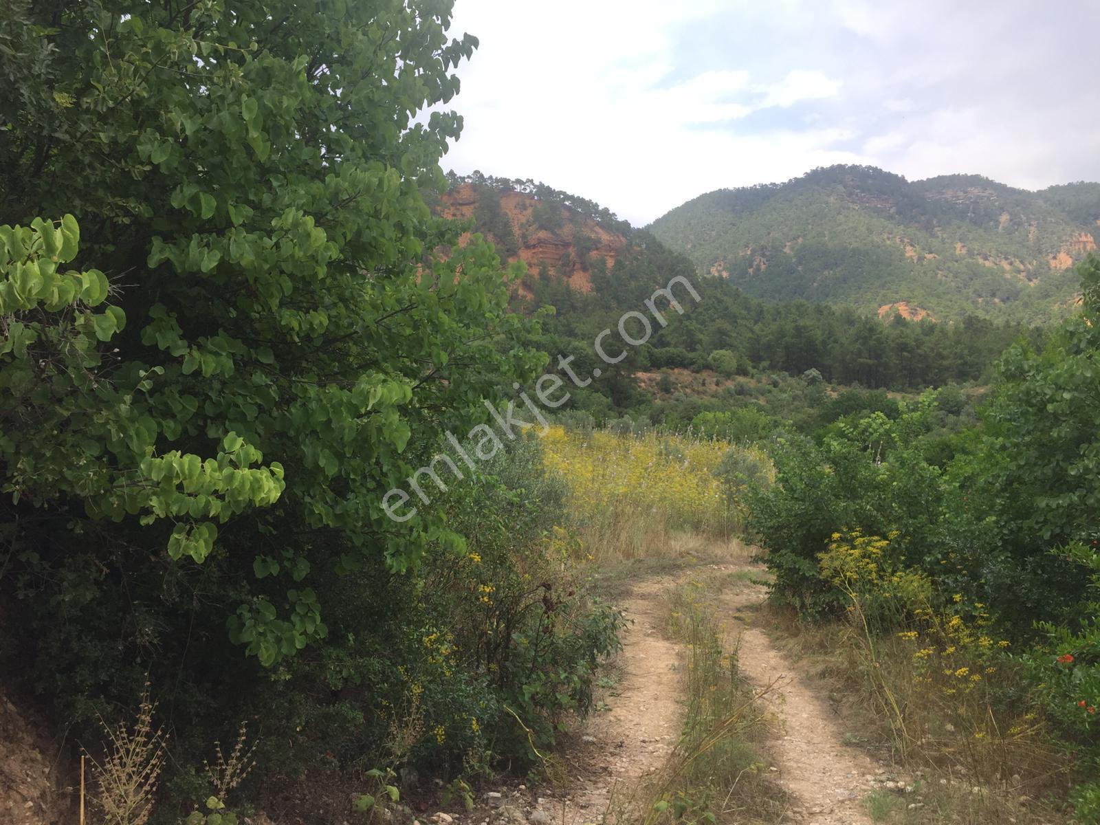 Muğla Merkez Göktepe Köyün De 12980.m2 Yolu Olan Tarla - Görsel 6